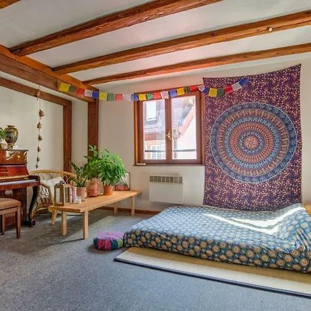 Beautiful Flat In The Heart Of Strasbourg